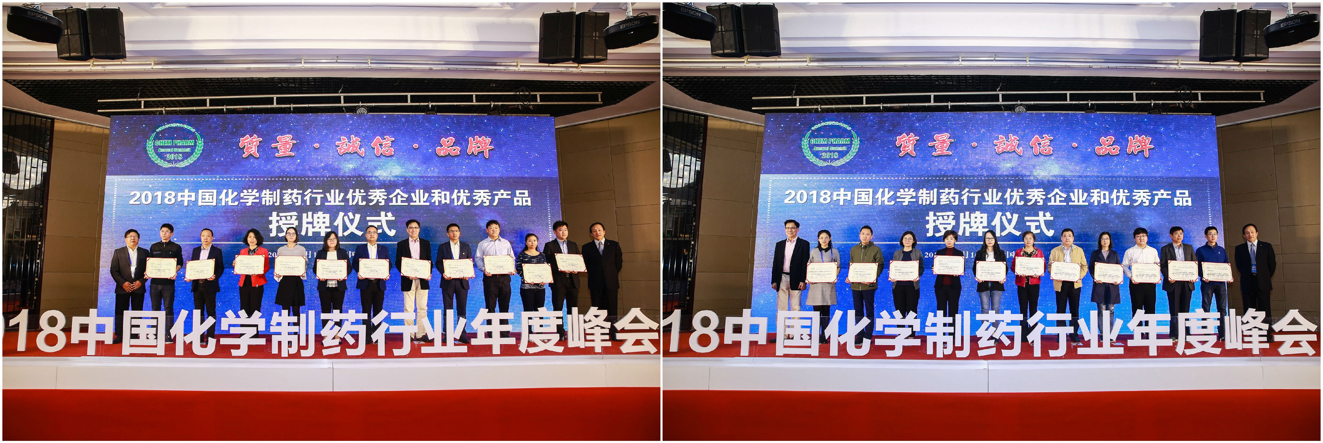 2018化药峰会4.jpg